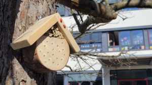 Ein fertiges Insektenhotel hängt an einem Baum vor dem Schulgebäude